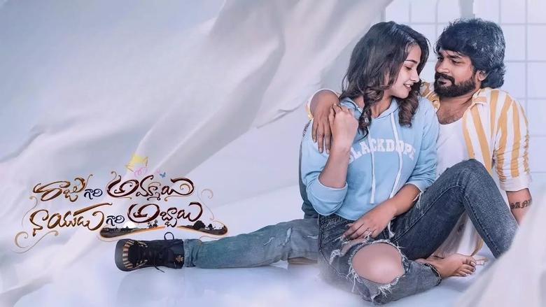 Raju Gari Ammayi Naidu Gari Abbayi
